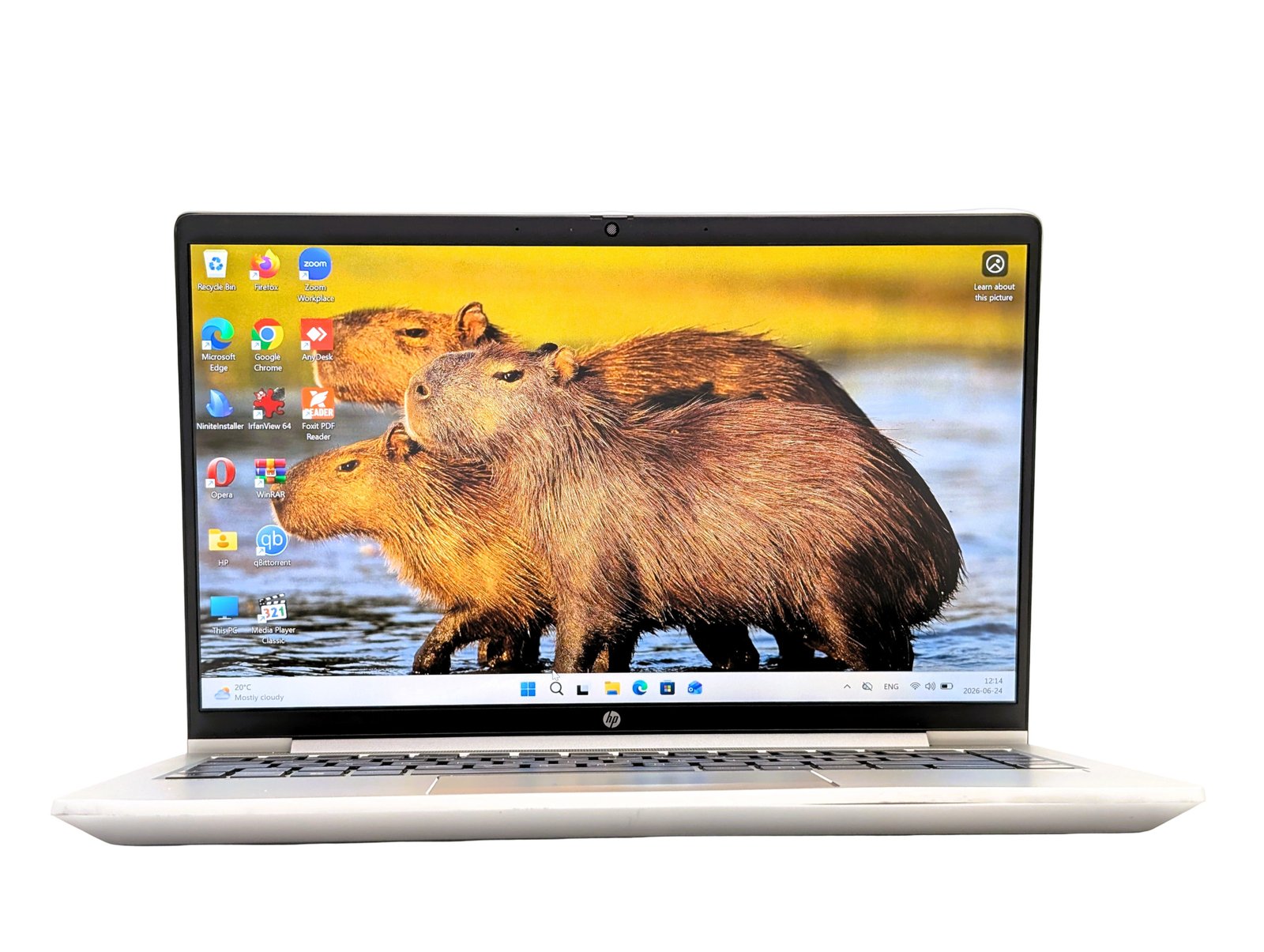 HP ProBook 445 G10/Ryzen3-7330U/16GB/256GB (Generalüberholt)
