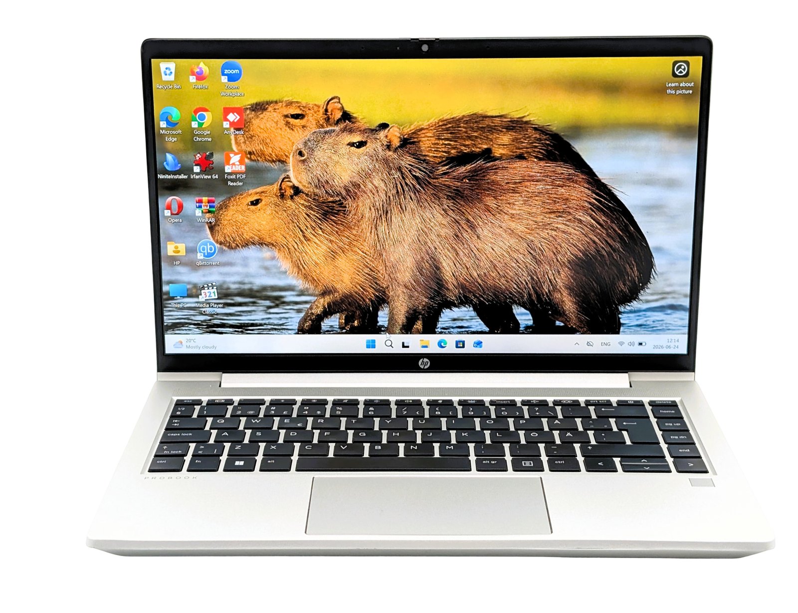 HP ProBook 445 G10/Ryzen3-7330U/16GB/256GB (Generalüberholt)